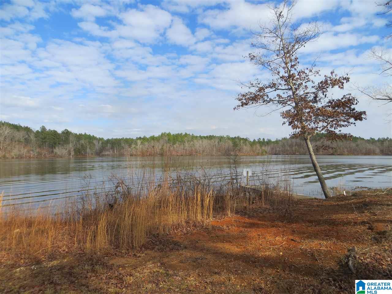 Lot 9 Eagle Mountain Road, Unit 9 Alexander City, AL 35010 - Photo 9 of 13