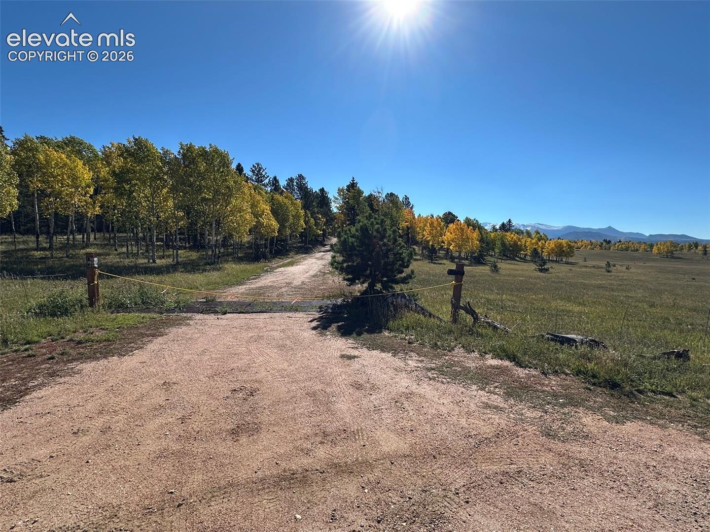 2940 NORTH Rd Divide Divide, CO 80814 - Photo 23 of 27 Gallery Image 23