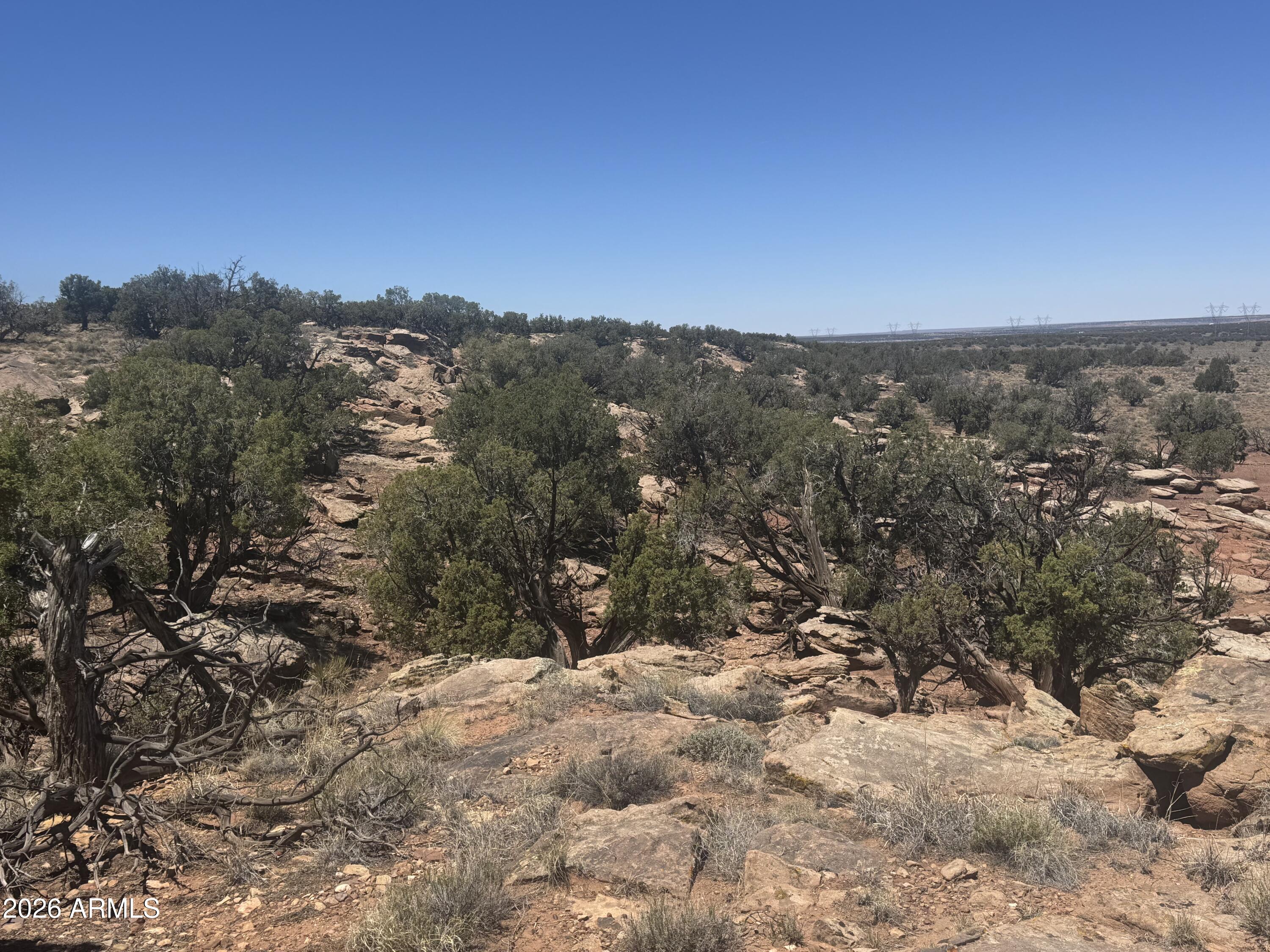 Lot 261 Woodridge Ranch, Unit 261 Concho, AZ 85924 - Photo 7 of 24 IMG_1506