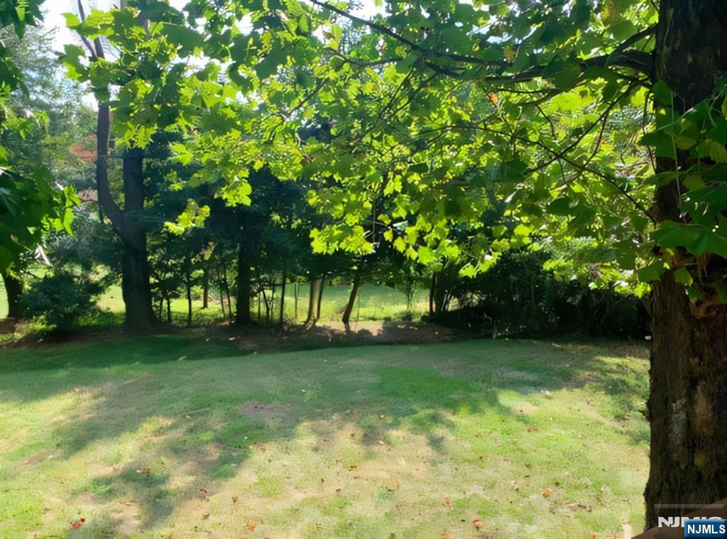 10 Center Street Cresskill, NJ 07626 - Photo 7 of 8 a view of a trees with a tree in a yard
