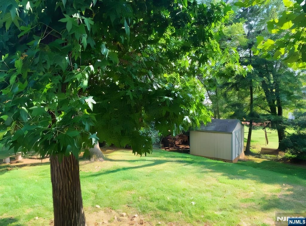 10 Center Street Cresskill, NJ 07626 - Photo 8 of 8 a view of a garden with a tree