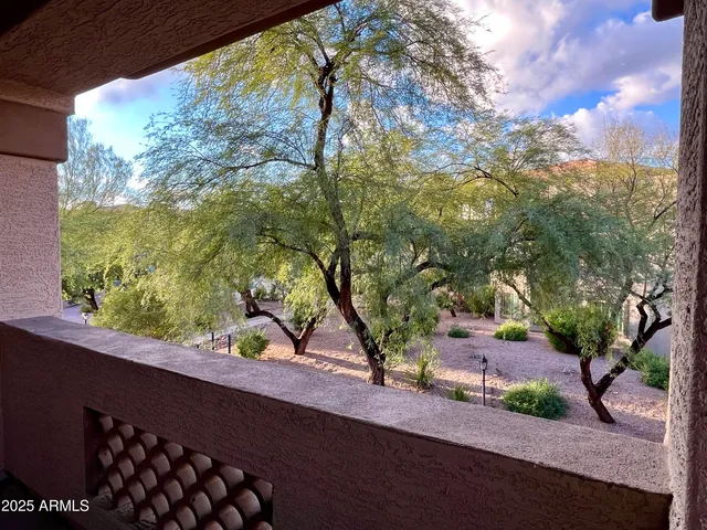 a view of a yard from a window