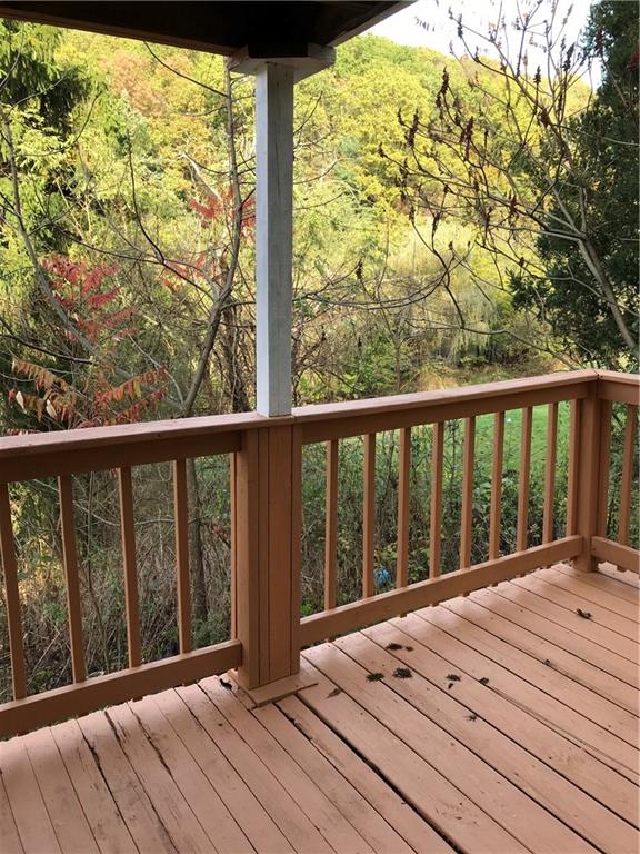 38 Forest Road Ambridge, PA 15003 - Photo 17 of 23 Rear deck/porch
