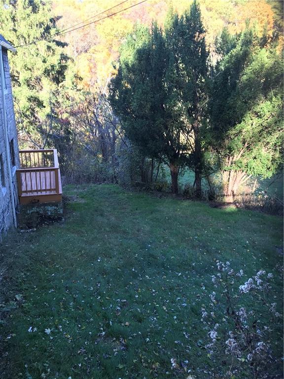 38 Forest Road Ambridge, PA 15003 - Photo 19 of 23 Side yard, beautiful foliage view