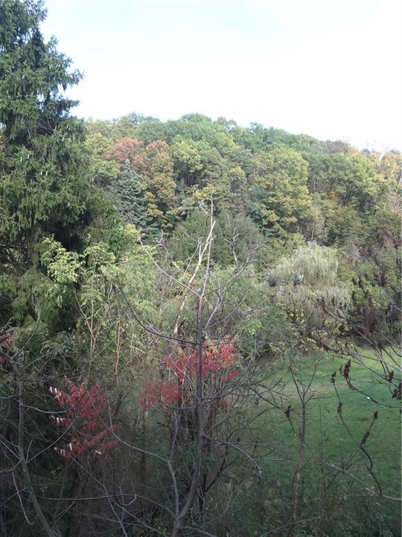 38 Forest Road Ambridge, PA 15003 - Photo 22 of 23 Nice Western Pennsylvania views