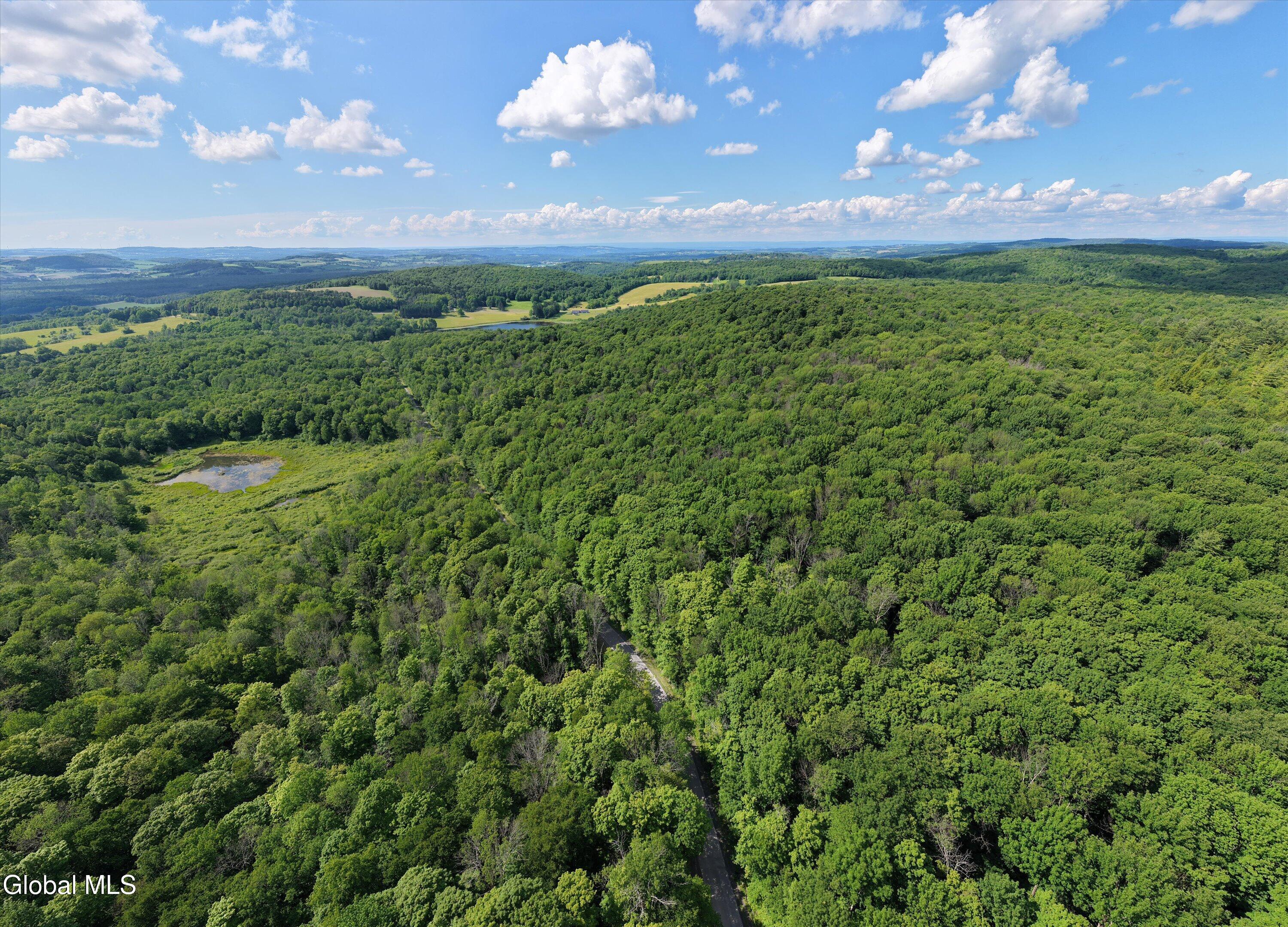 L27.5 L27.5 Gorton Lake Road Waterville, NY 13480 - Photo 5 of 15 05-Gorton Lake Rd-05