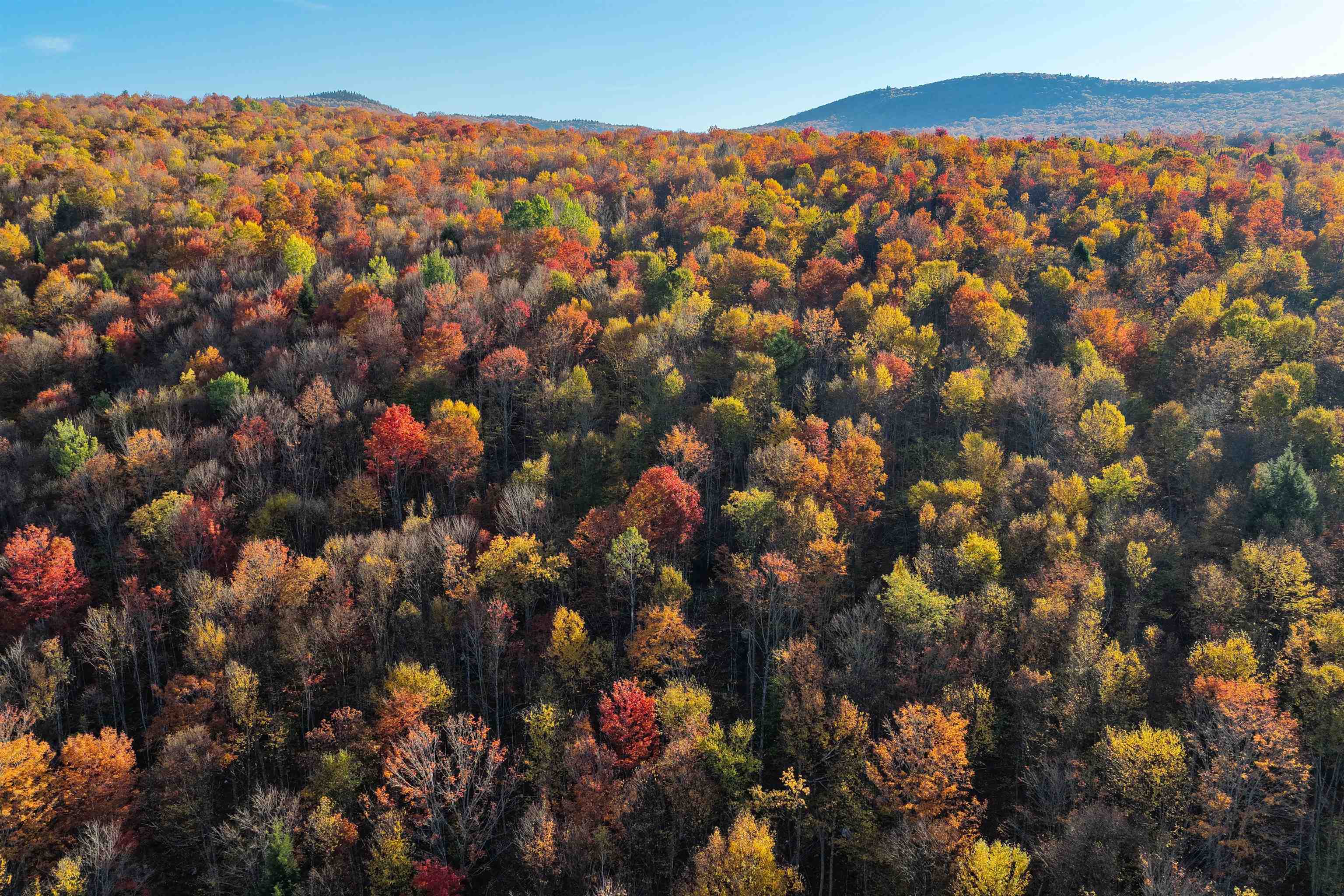 2448 Lost Nation Road East Haven, VT 05837 - Photo 9 of 27