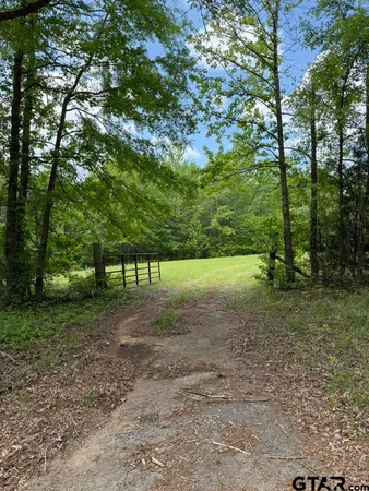 a view of a yard with trees