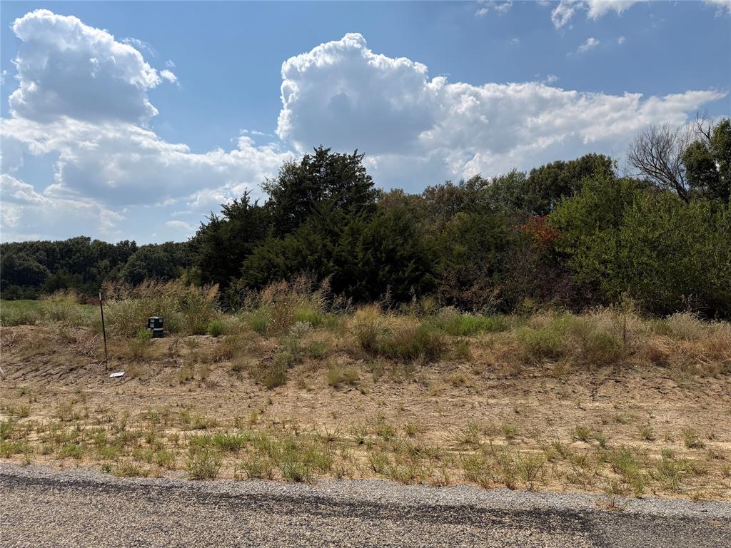 Lot 11 Co Road Farmersville, TX 75442 - Photo 2 of 6 Wooded lot with mature trees and a gravel road frontage