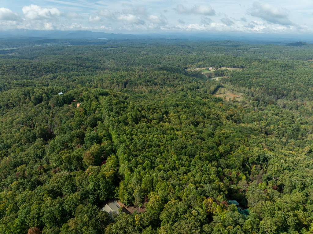 175 Oak Ledge Road Morganton, GA 30560 - Photo 47 of 62