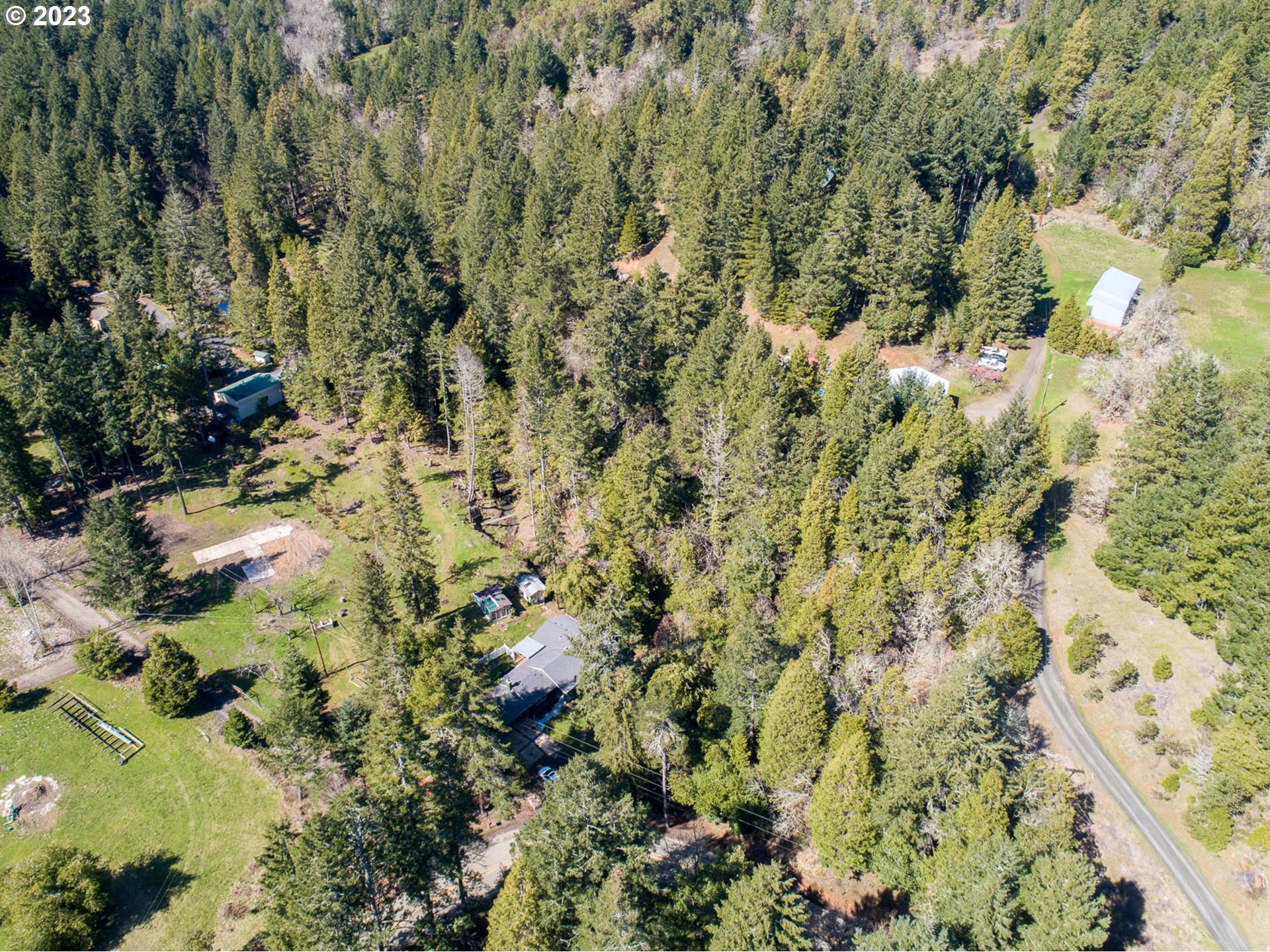 207 Snowberry Road Roseburg, OR 97471 - Photo 17 of 31 a view of a forest with a tree