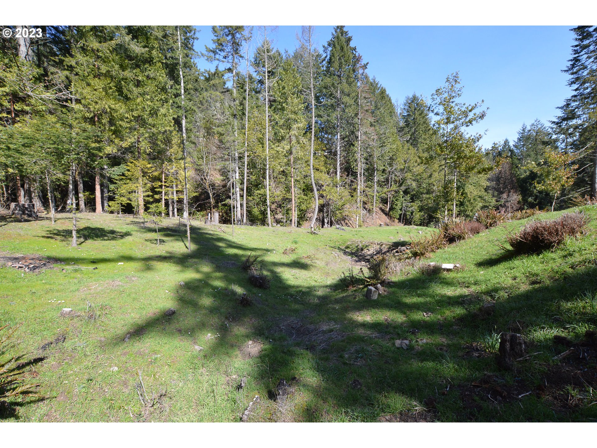 207 Snowberry Road Roseburg, OR 97471 - Photo 5 of 31 a view of a grassy field with trees