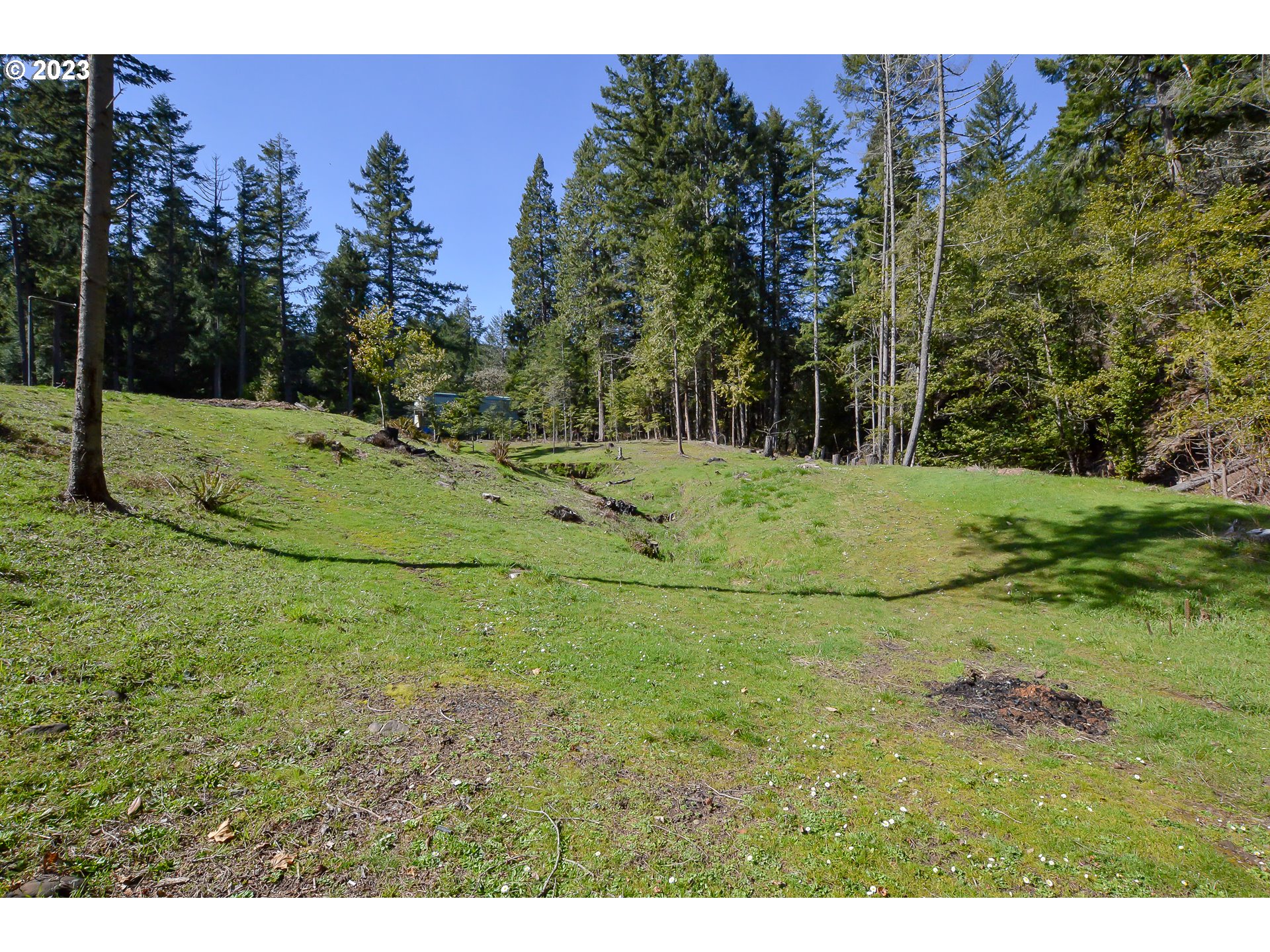 207 Snowberry Road Roseburg, OR 97471 - Photo 6 of 31 a view of a backyard