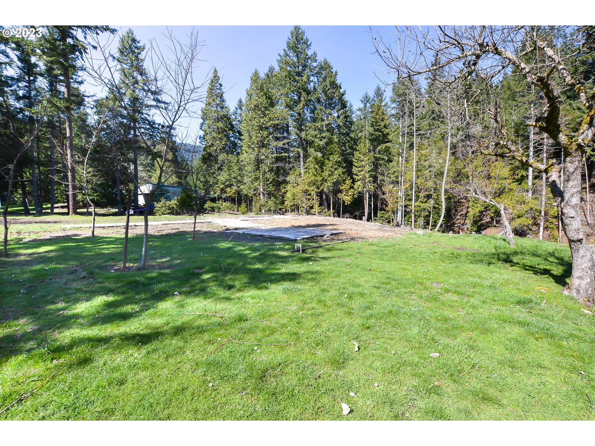 207 Snowberry Road Roseburg, OR 97471 - Photo 7 of 31 a view of a park with a tree