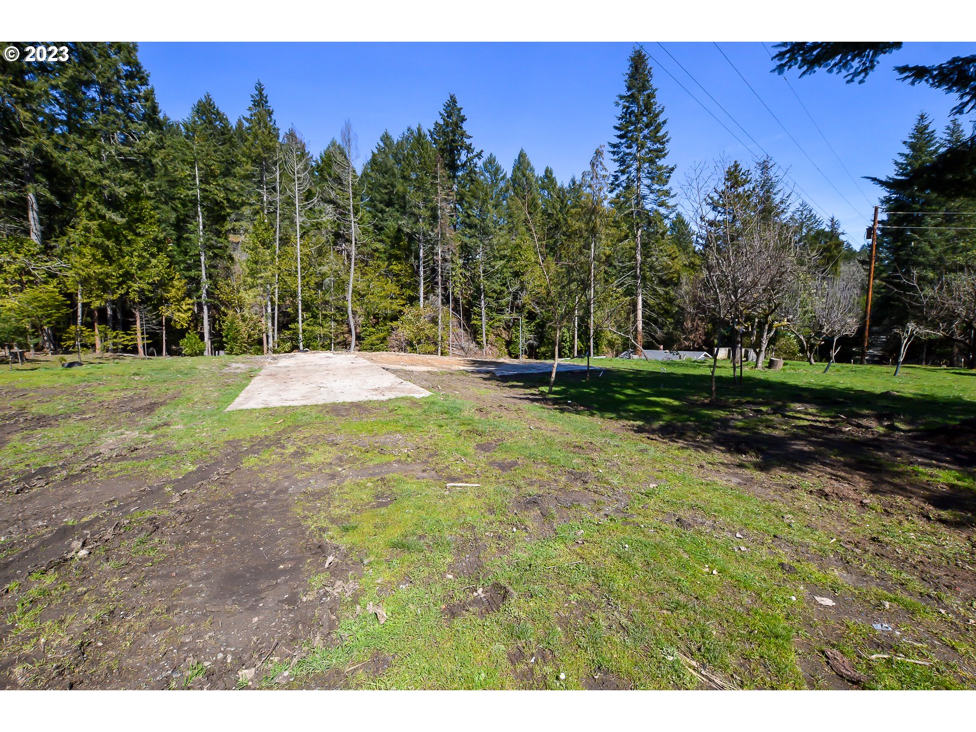207 Snowberry Road Roseburg, OR 97471 - Photo 8 of 31 a view of a backyard with a house