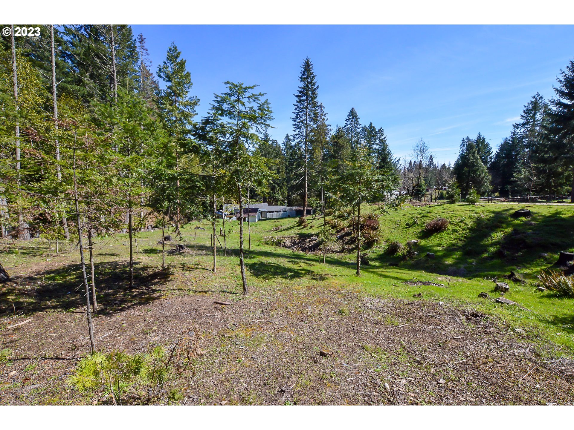 207 Snowberry Road Roseburg, OR 97471 - Photo 9 of 31 a view of a park