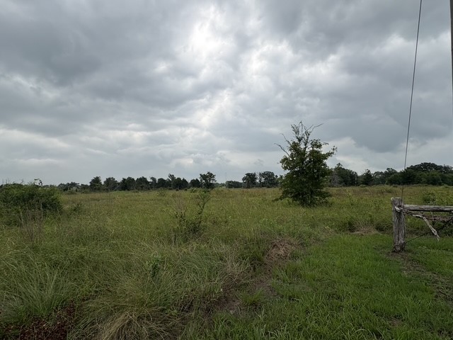 995 Diserens Road North Zulch, TX 77872 - Photo 3 of 23 Land