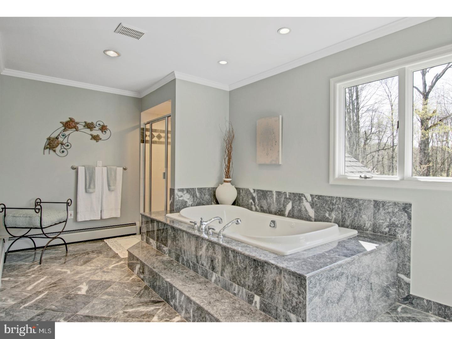 10 Rosedale Way Pennington, NJ 08534 - Photo 18 of 25 Master Bathroom
