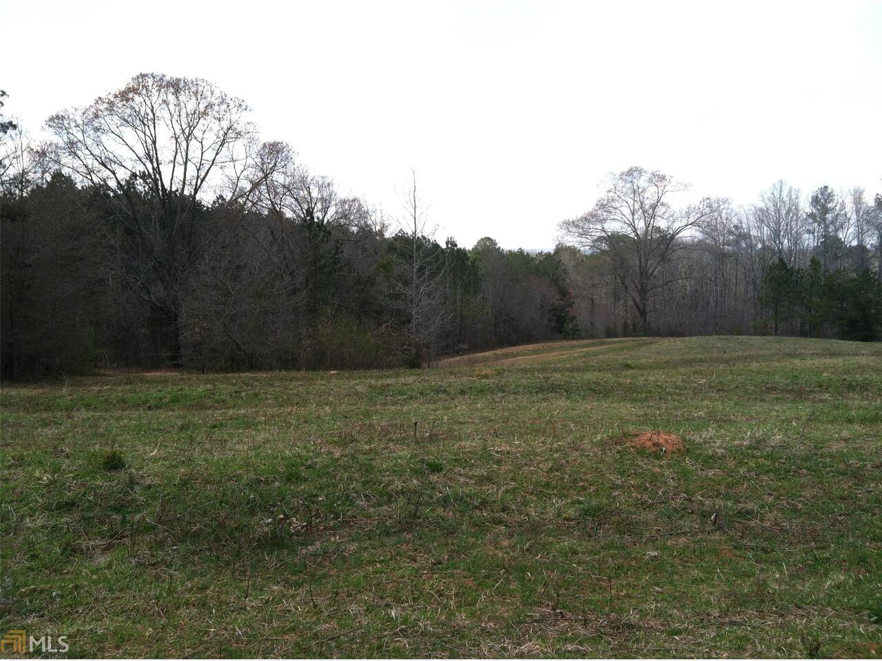 0 Redland Road, Unit TRACT 1 Franklin, GA 30217 - Photo 1 of 1 a view of a field of grass and trees