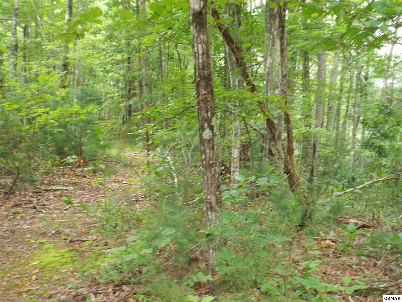 0 Huskey Grove Road Sevierville, TN 37876 - Photo 2 of 11