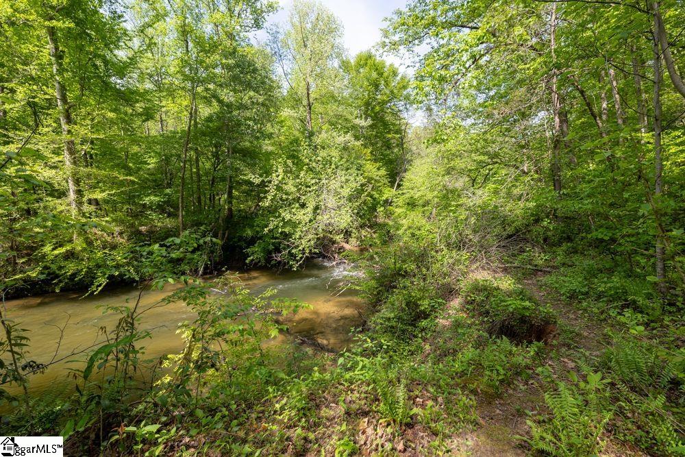 Sherwood Road Marietta, SC 29661 - Photo 2 of 5 Gallery Image 2