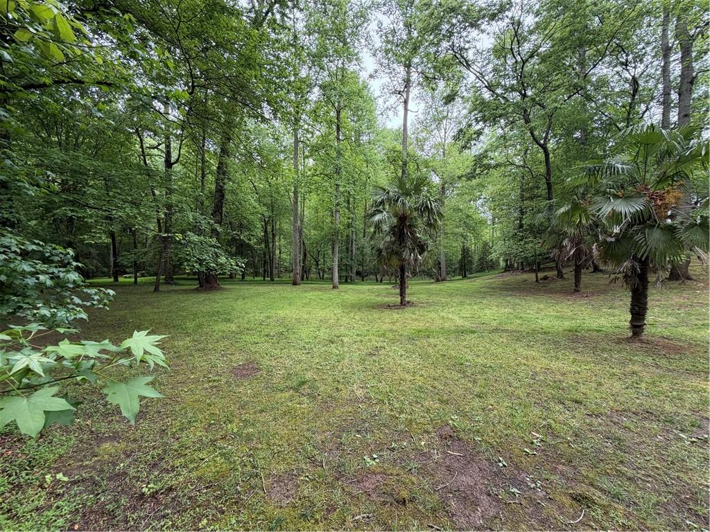 534 Soque Trail Demorest, GA 30535 - Photo 31 of 37
