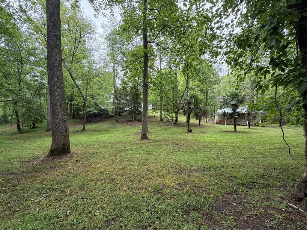 534 Soque Trail Demorest, GA 30535 - Photo 32 of 37