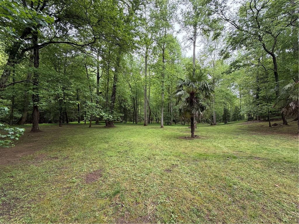534 Soque Trail Demorest, GA 30535 - Photo 33 of 37