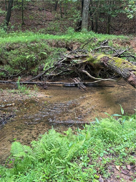 534 Soque Trail Demorest, GA 30535 - Photo 35 of 37