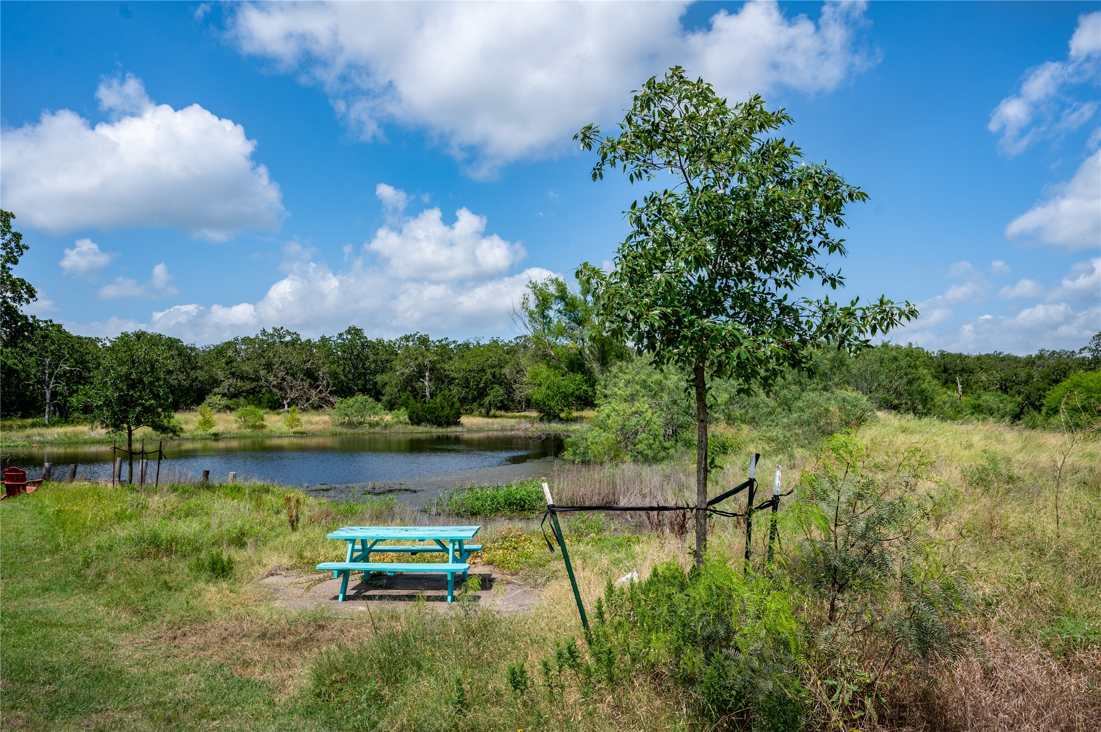 270 Dry Creek Road Manor, TX 78653 - Photo 27 of 40 A tranquil pond awaits, surrounded by lush greenery and a serene landscape, perfect for quiet contemplation.