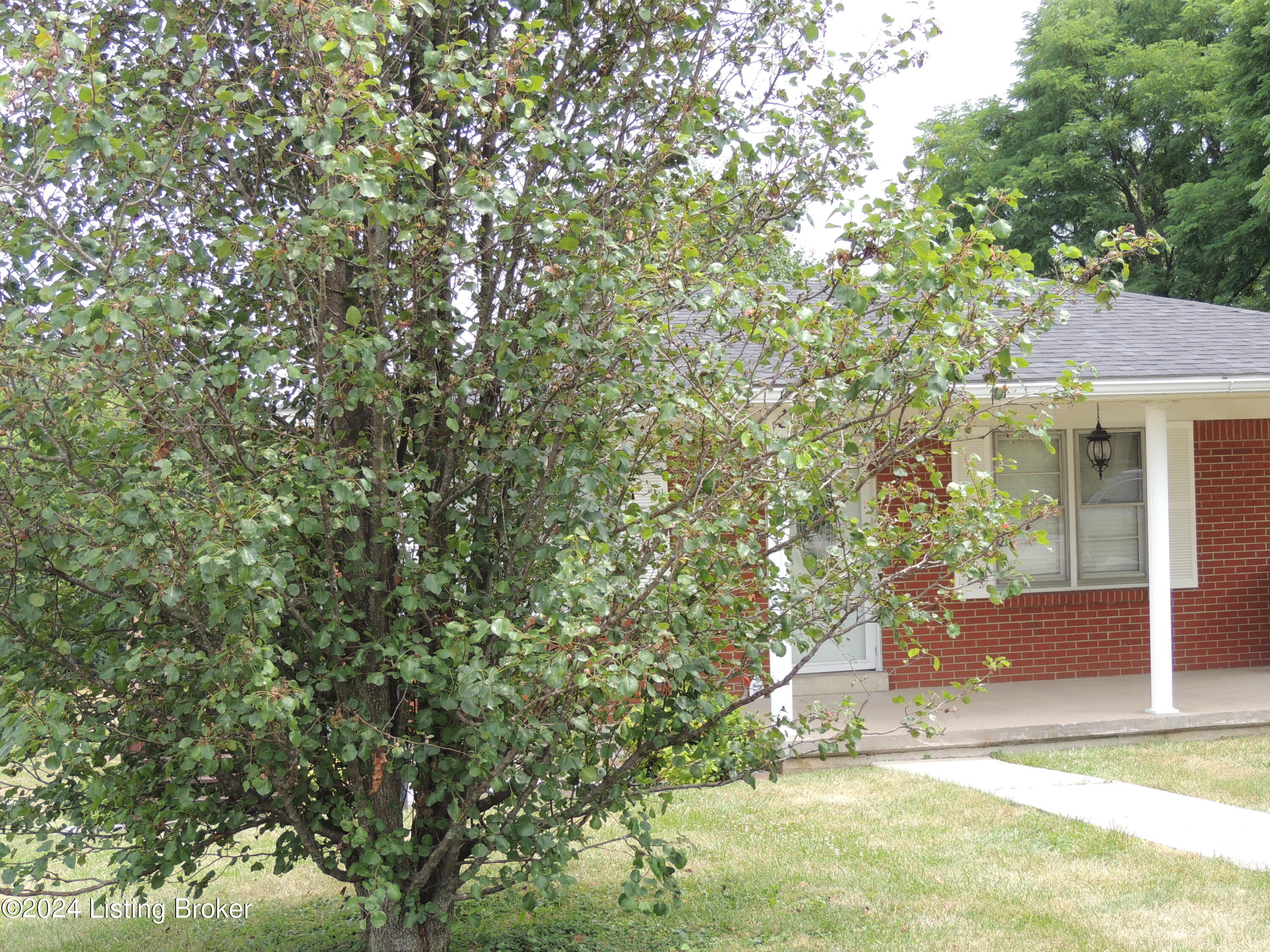 226 Fairfield Hill Road Bloomfield, KY 40008 - Photo 3 of 25 DSCN1028