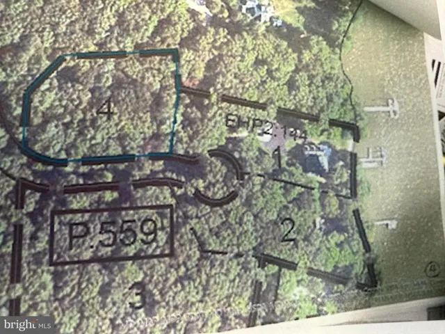 $120,000 | Lot 4 Piney Neck Road, Rock Hall, MD 21661