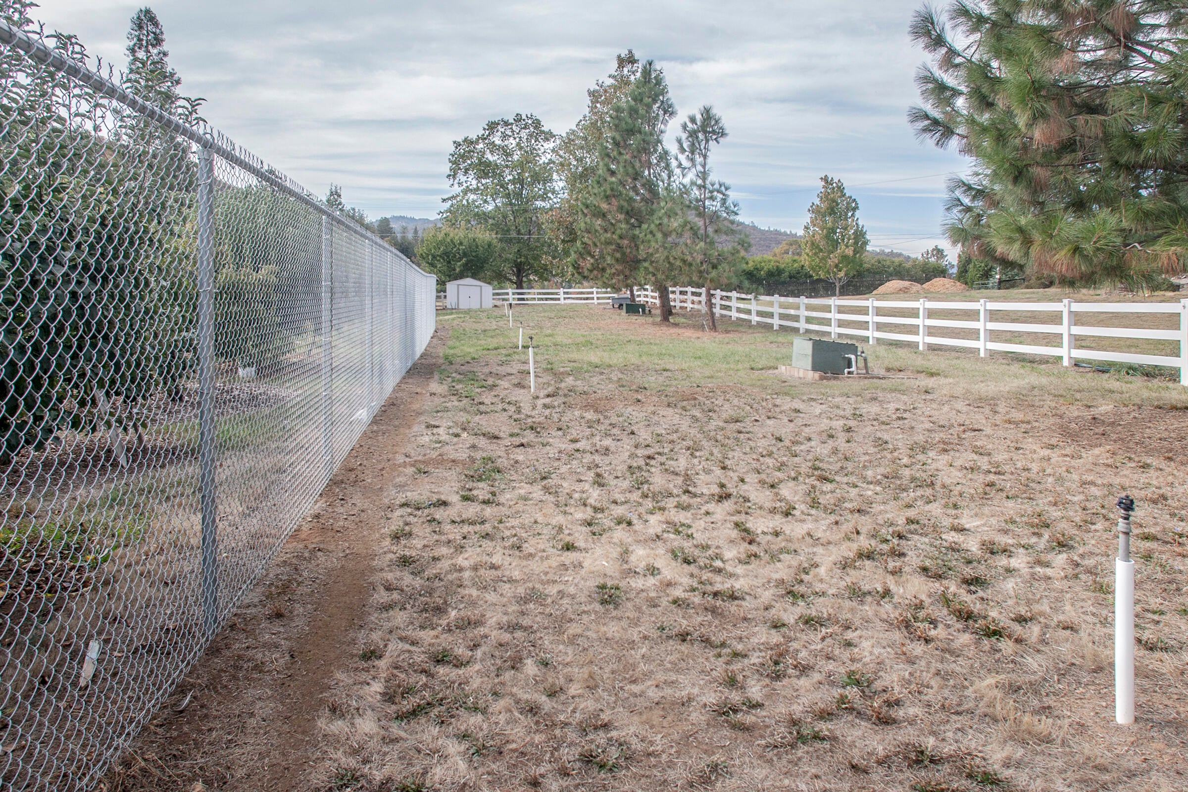 6554 Pioneer Road Medford, OR 97501 - Photo 42 of 50 Pasture