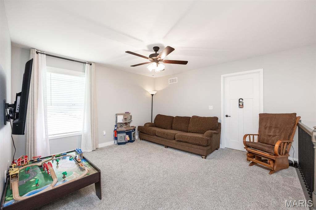 3521 Chippewa Drive Belleville, IL 62221 - Photo 18 of 41