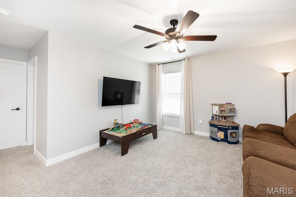 3521 Chippewa Drive Belleville, IL 62221 - Photo 19 of 41