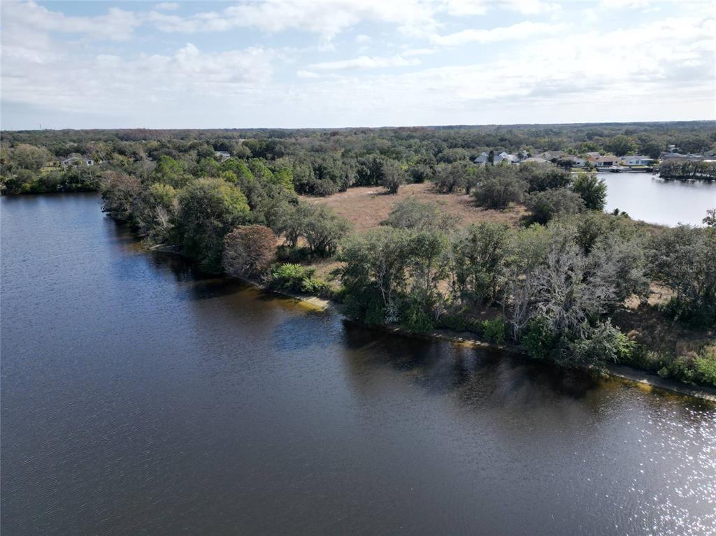 0 Berry Hill Road Holiday, FL 34690 - Photo 21 of 43