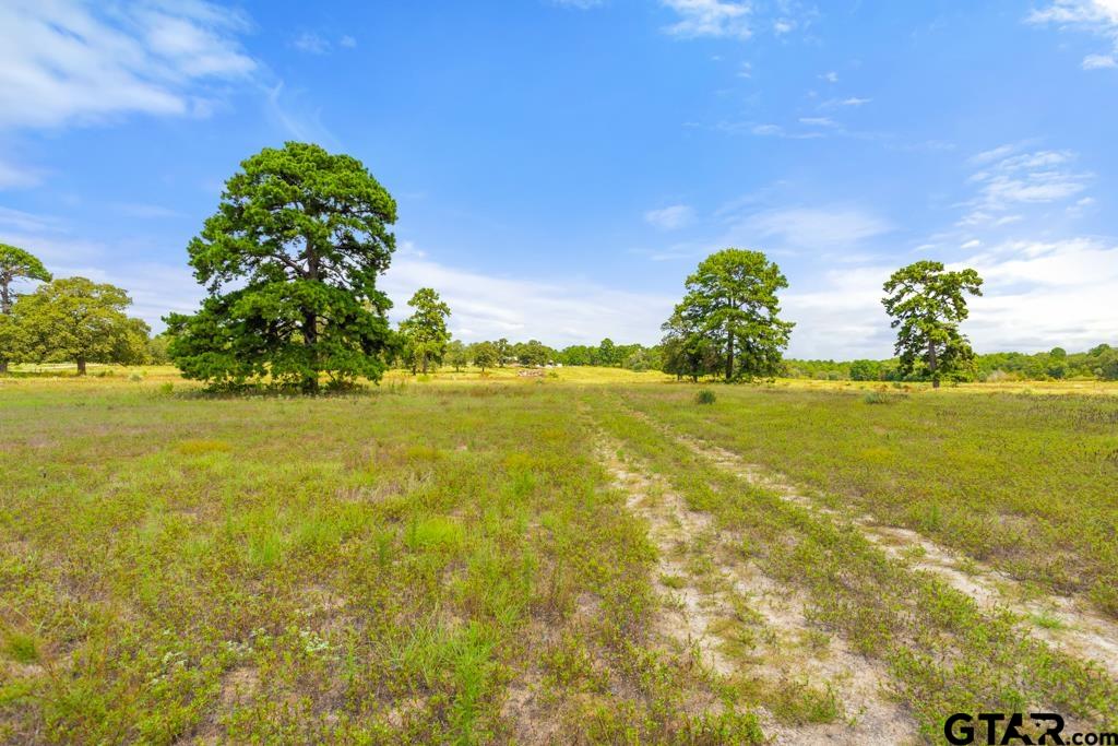 14762 County Road 3147 Tyler, TX 75706 - Photo 36 of 48 a view of an ocean view