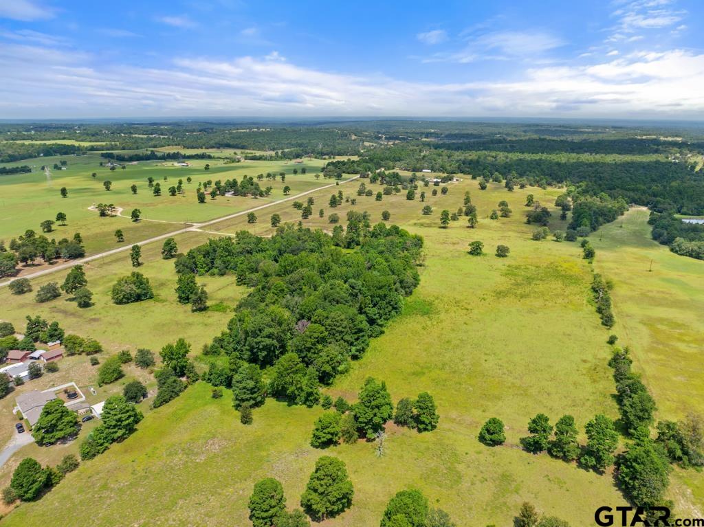 14762 County Road 3147 Tyler, TX 75706 - Photo 45 of 48 a view of a city