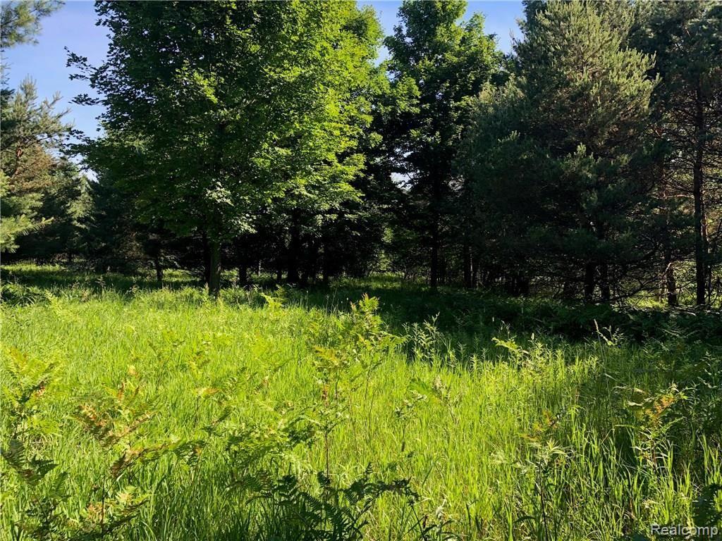 4545 East 14 Road Manton, MI 49663 - Photo 12 of 13