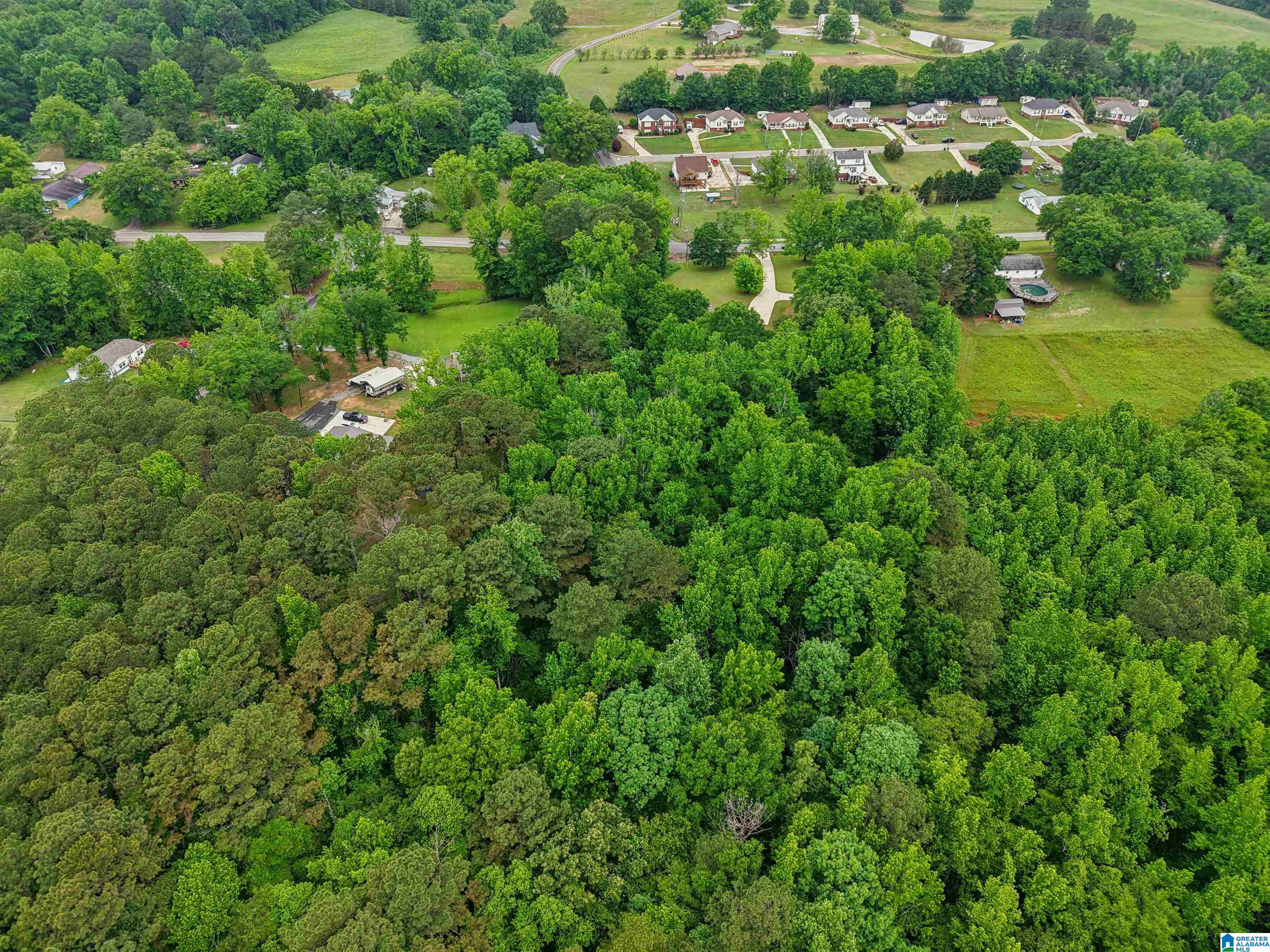 4780 Warrior Jasper Road Dora, AL 35062 - Photo 11 of 43