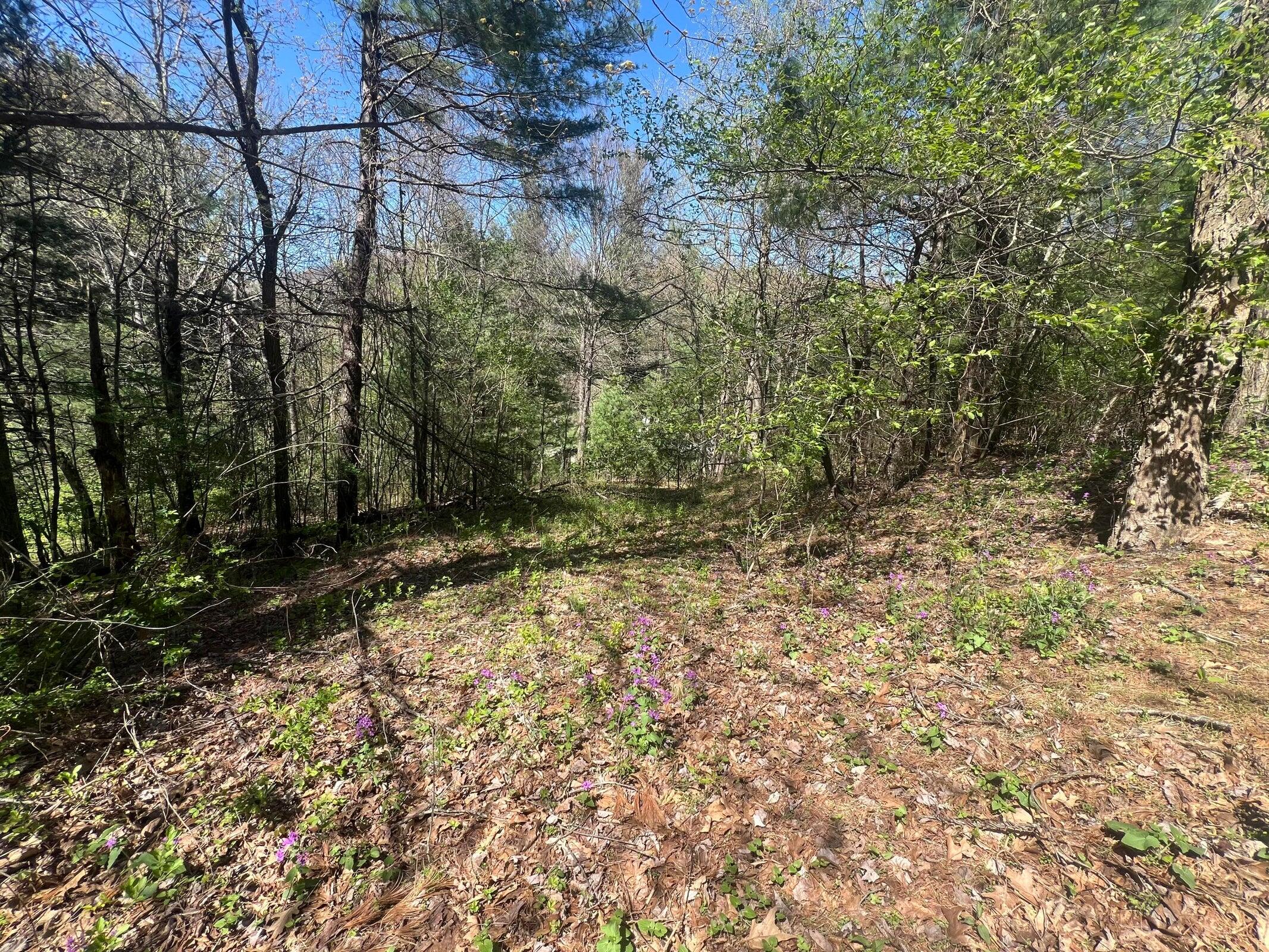 0 Ivy Ridge Road Bent Mountain, VA 24059 - Photo 11 of 11 20240423232613561815000000-o