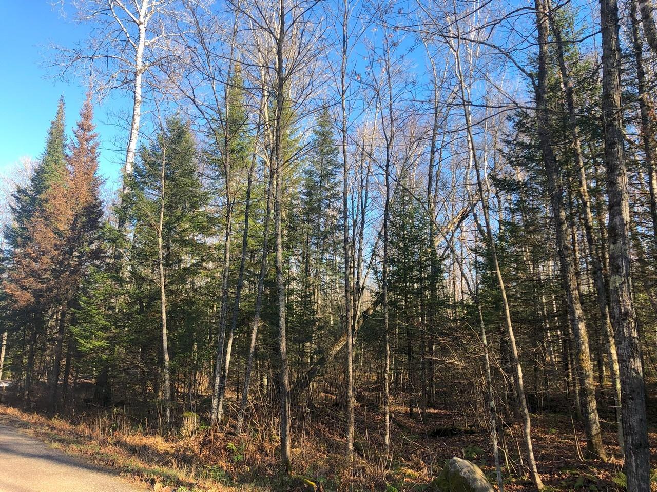 On East Bay Road, Unit LOT 3 Presque Isle, WI 54557 - Photo 22 of 22 Gallery Image 22