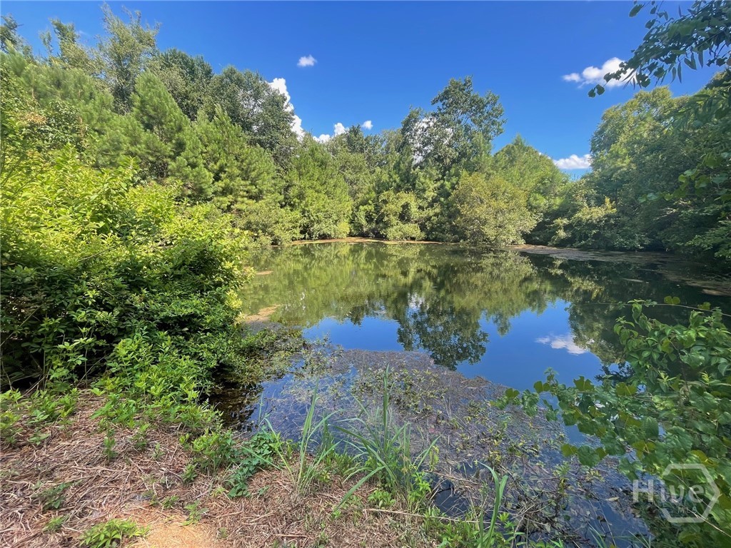 168 Sherwood Road Rincon, GA 31326 - Photo 5 of 11