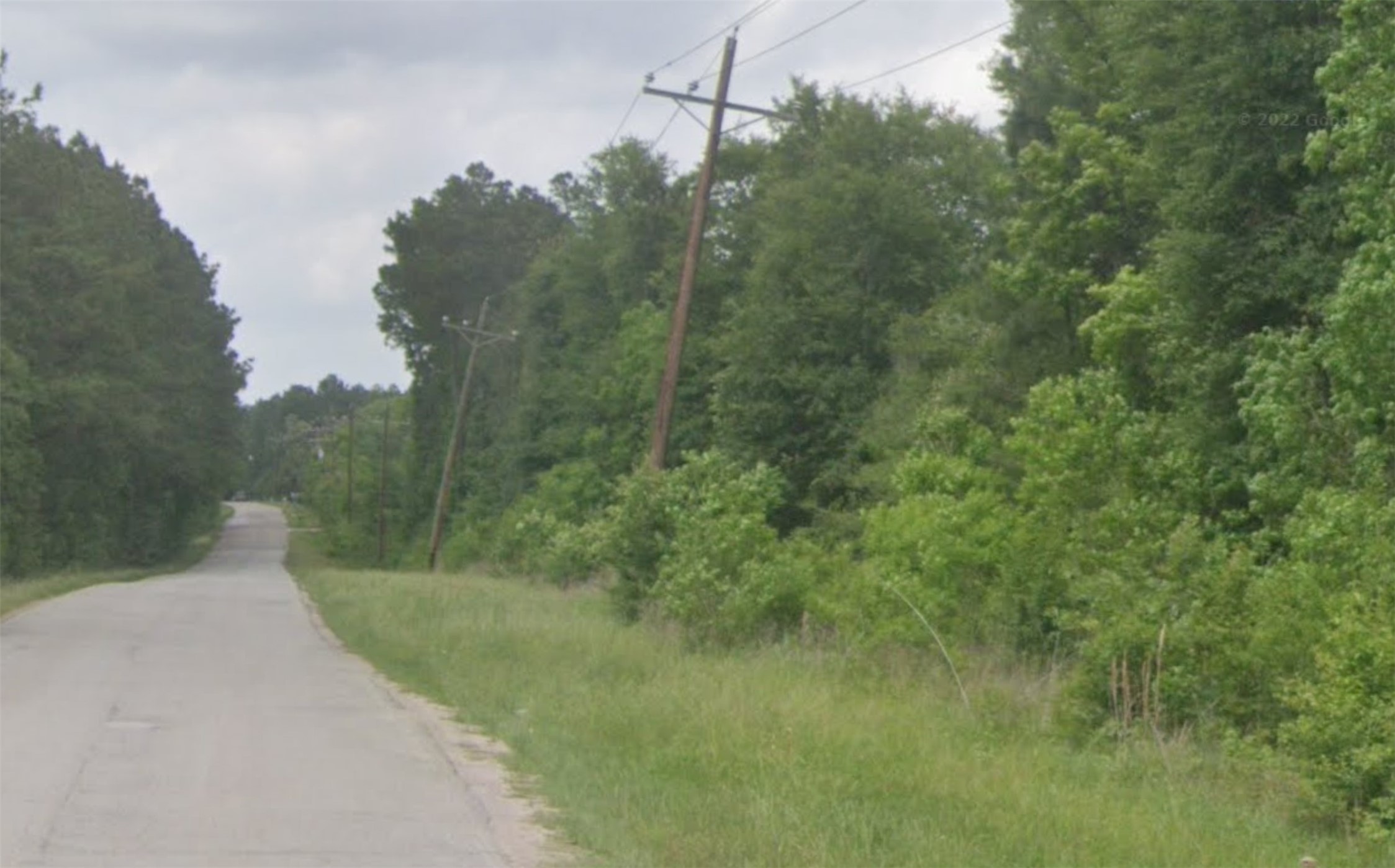 3.915-ac Meador Road Conroe, TX 77303 - Photo 7 of 8 a view of a field with trees in the background