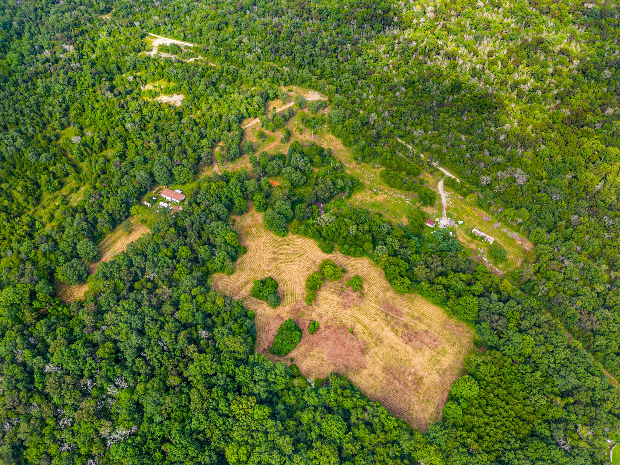 6836 Cedar Forest Road Lebanon, TN 37090 - Photo 11 of 25 a view of a garden with plants