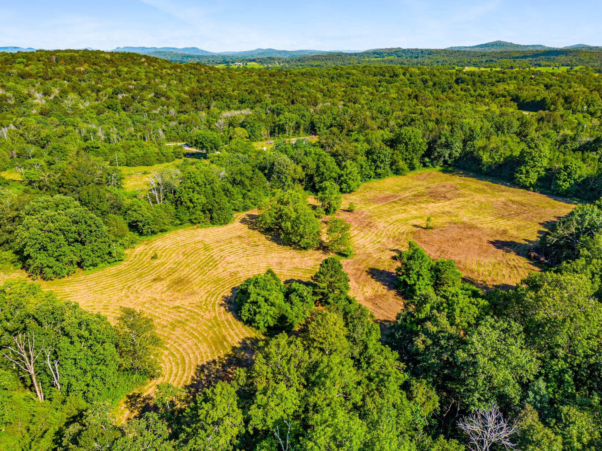 6836 Cedar Forest Road Lebanon, TN 37090 - Photo 5 of 25 a view of a yard