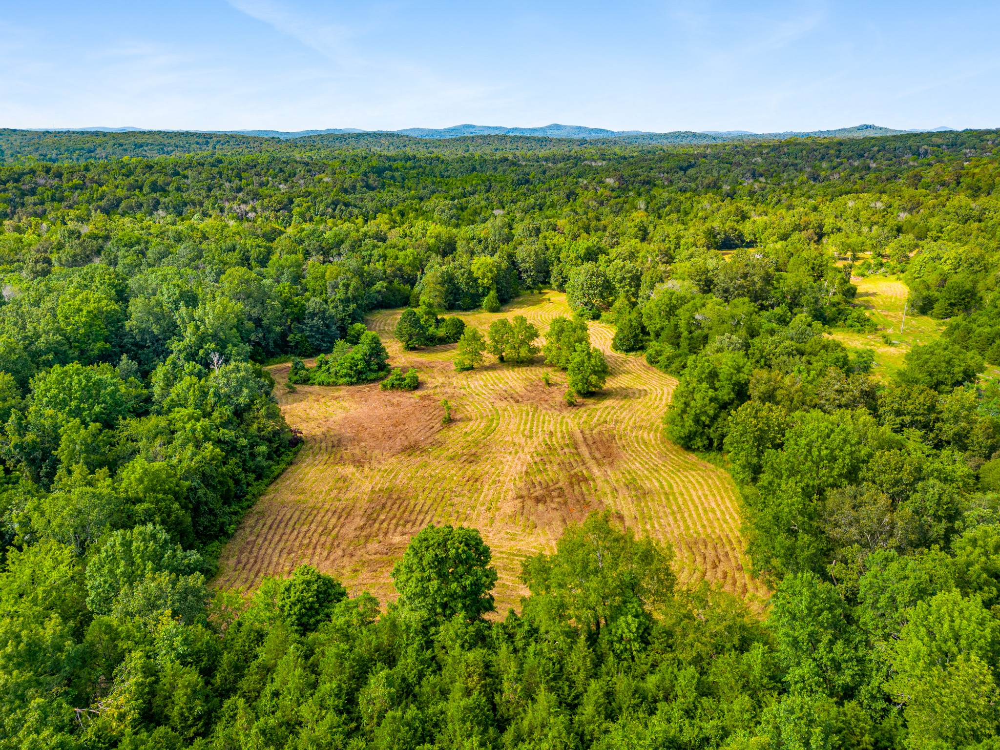 6836 Cedar Forest Road Lebanon, TN 37090 - Photo 6 of 25 a view of a yard with an outdoor space