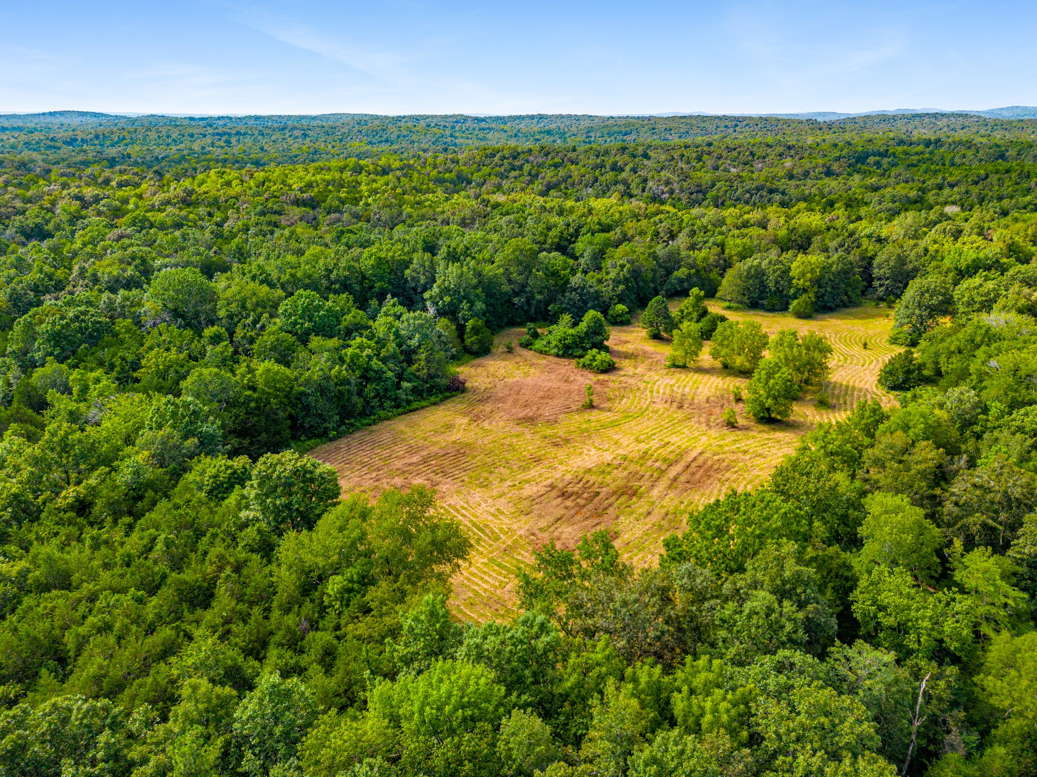 6836 Cedar Forest Road Lebanon, TN 37090 - Photo 8 of 25 an aerial view of residential houses with outdoor space and trees all around