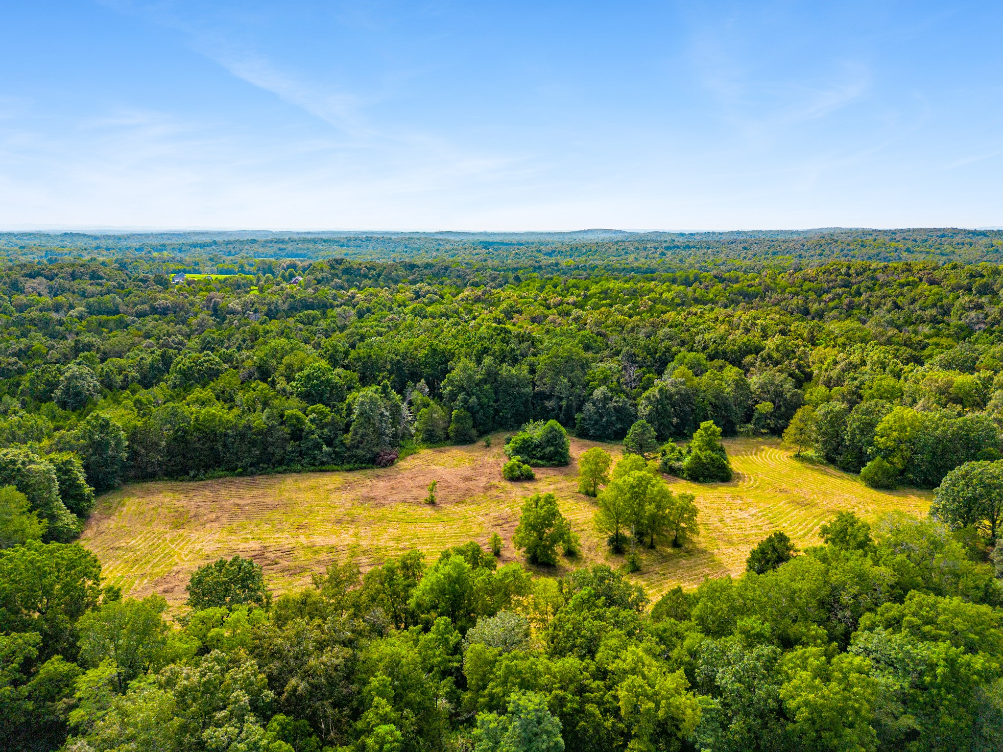 6836 Cedar Forest Road Lebanon, TN 37090 - Photo 9 of 25 a view of a yard with an outdoor space