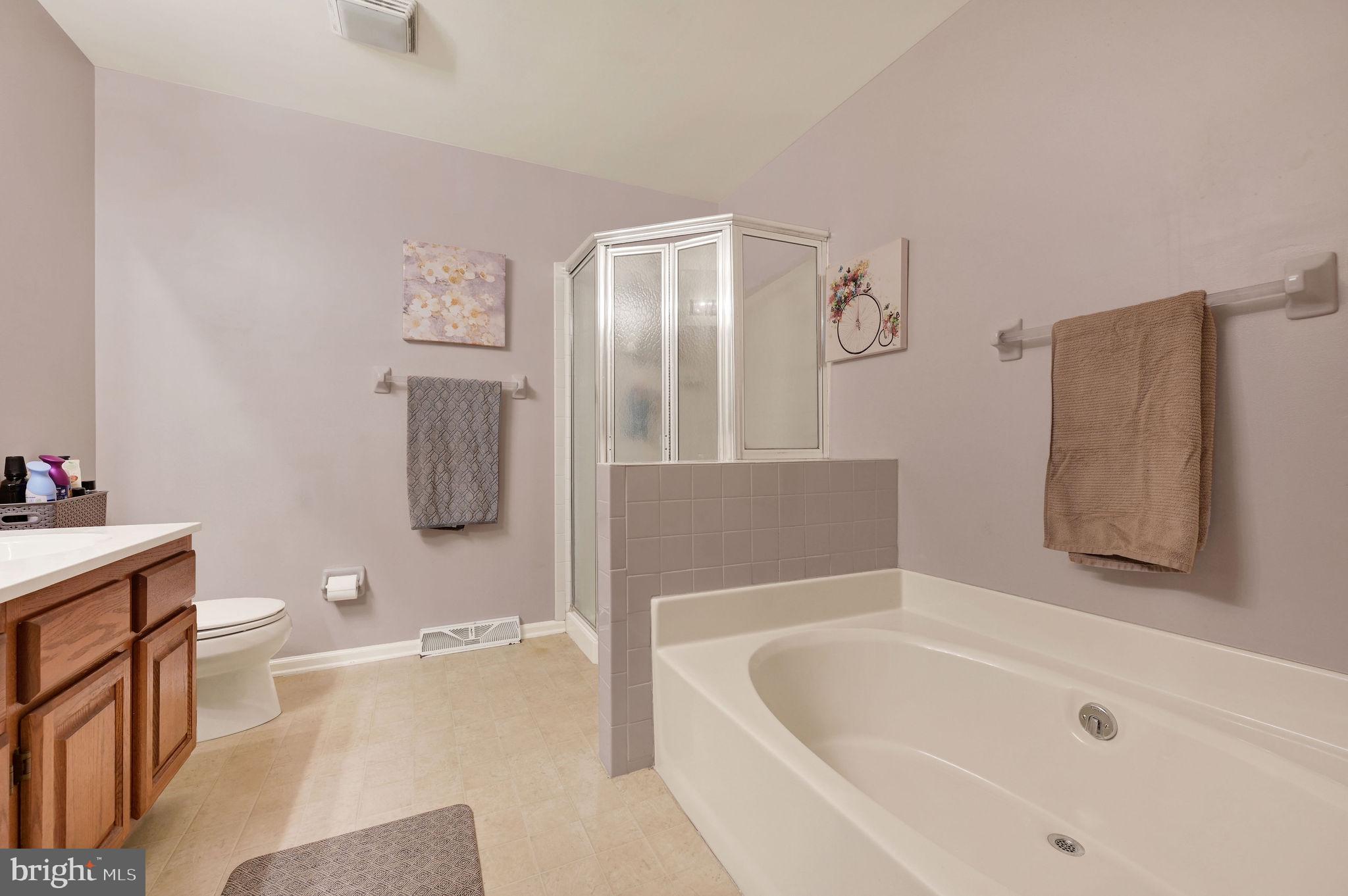 176 Burning Tree Road Dover, DE 19904 - Photo 27 of 33 Serene bathroom retreat with modern touches.
